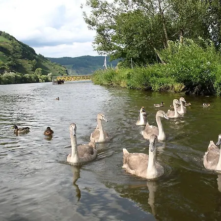 Apartmanhotel Bellevue Boppard