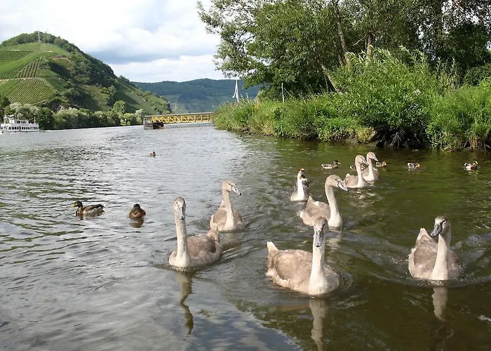 Lägenhetshotell Bellevue Boppard