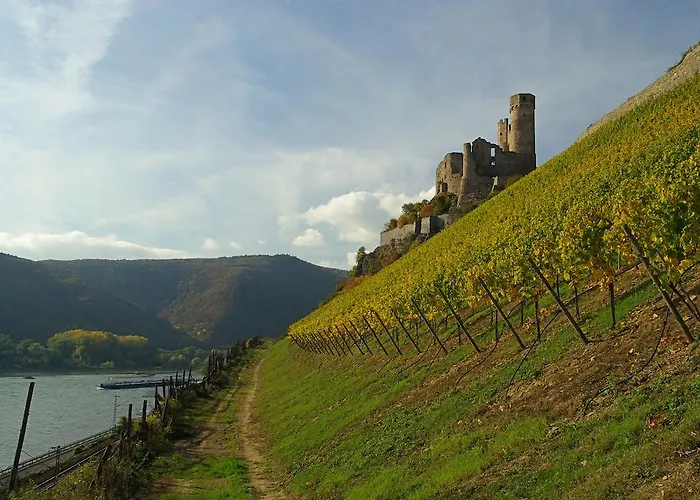 Lägenhetshotell Bellevue Boppard